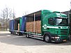 Scania BZBD74 huif poly small