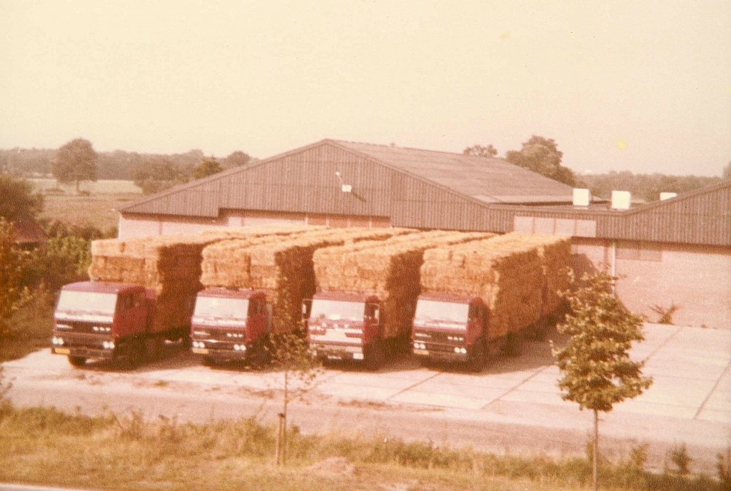 Trucks met stro (1981)