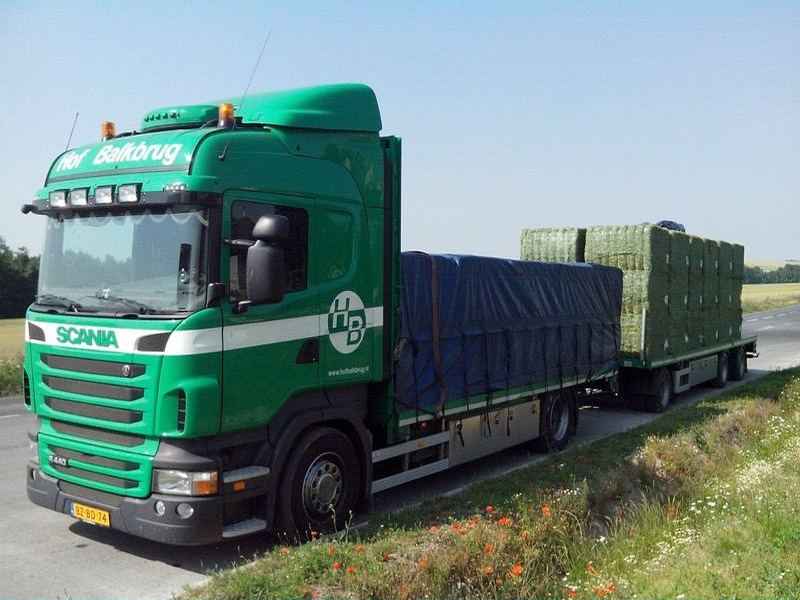 Scania vrachtwagen van Hof Balkbrug met luzerne onderweg voor internationaal transport