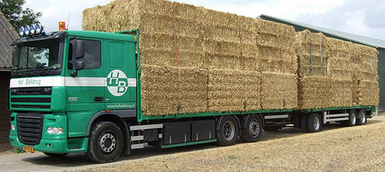 Vrachtwagen Hof Balkbrug bij het bedrijf